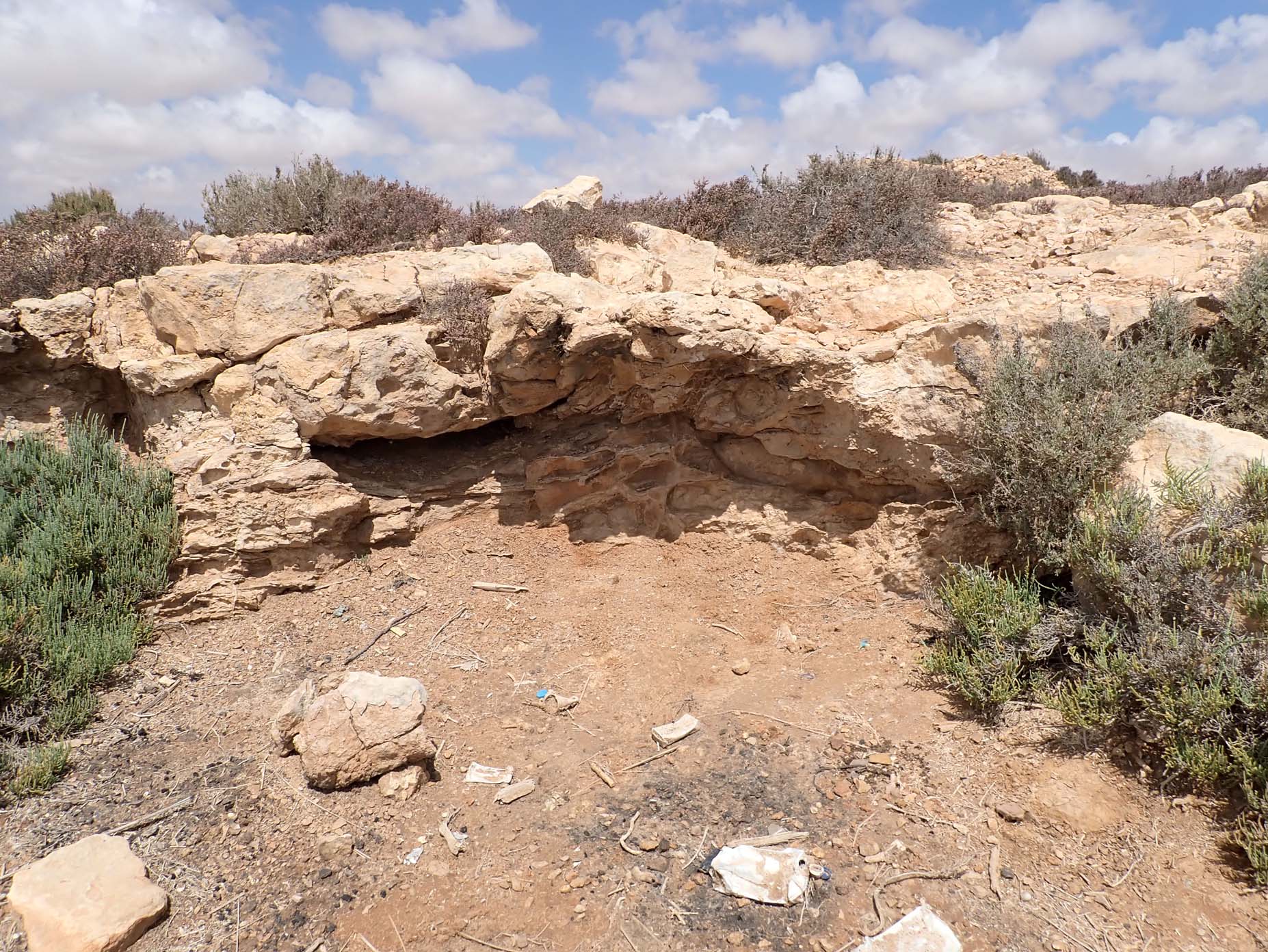 Upper Oligocene-Lower Miocene 1