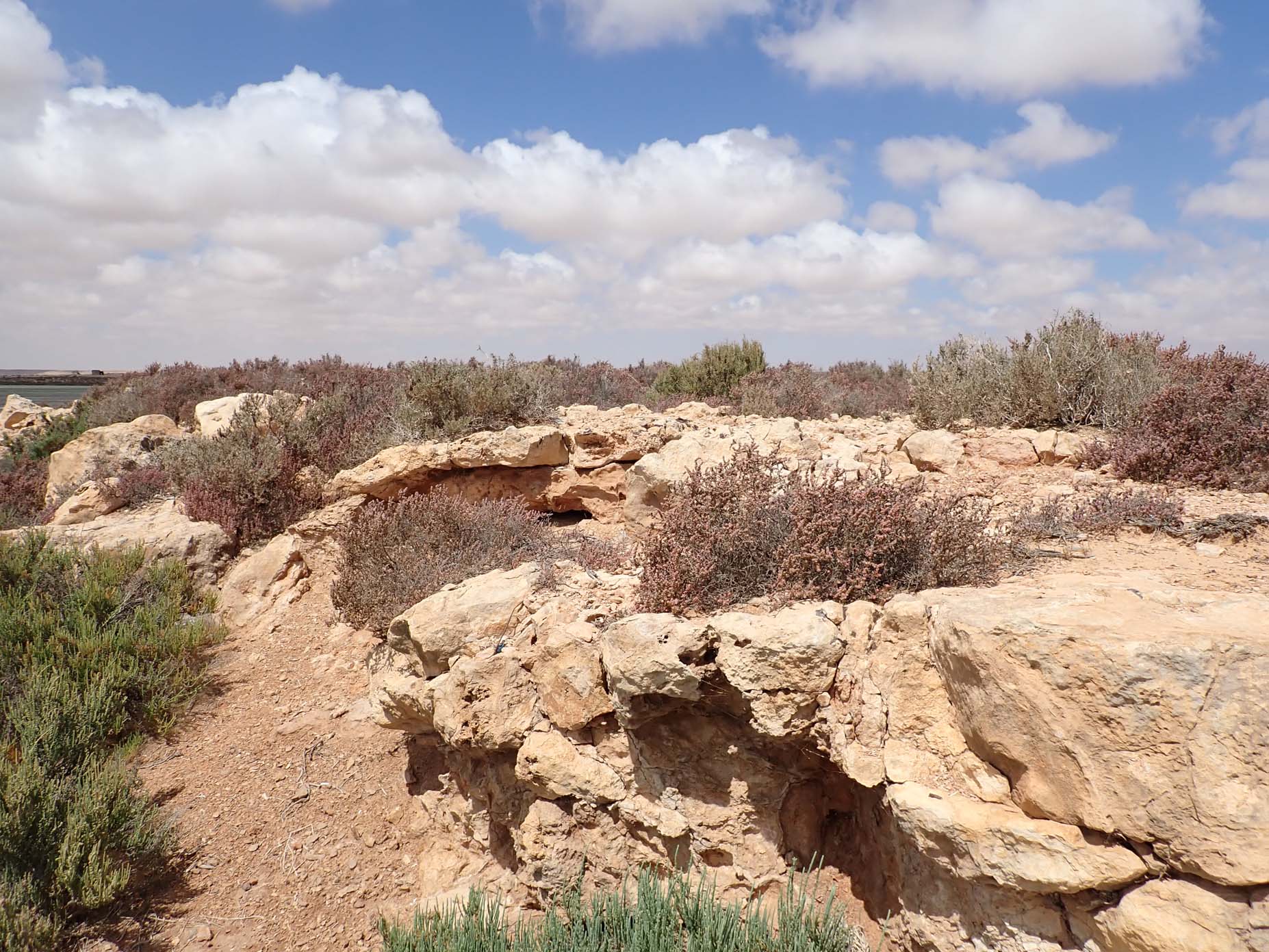 Upper Oligocene-Lower Miocene 2