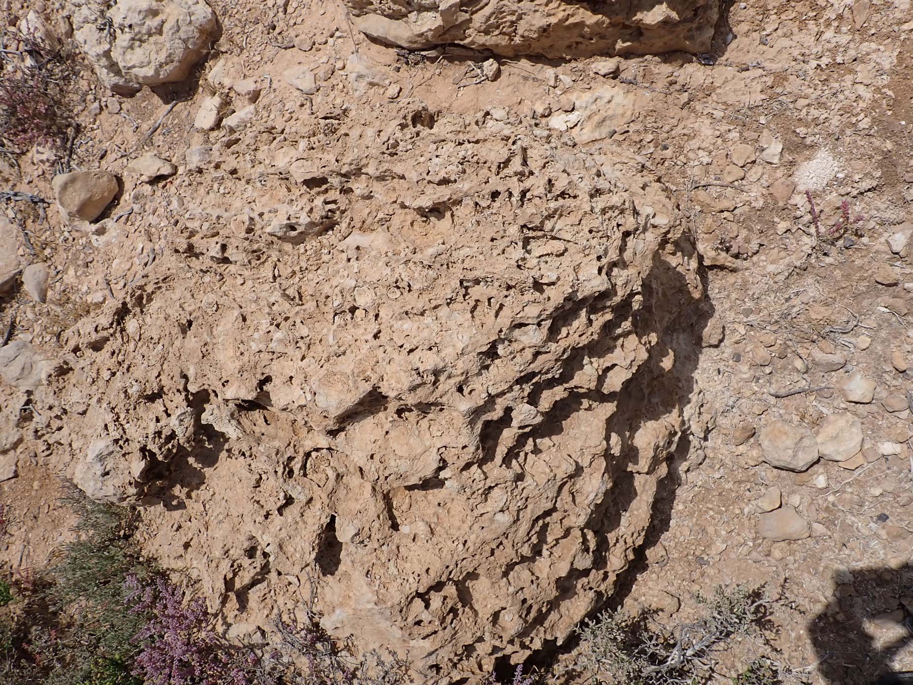 Upper Oligocene-Lower Miocene 3