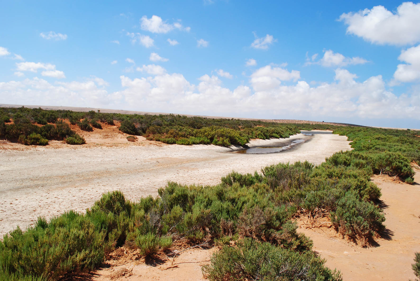 Wadi Channel 2
